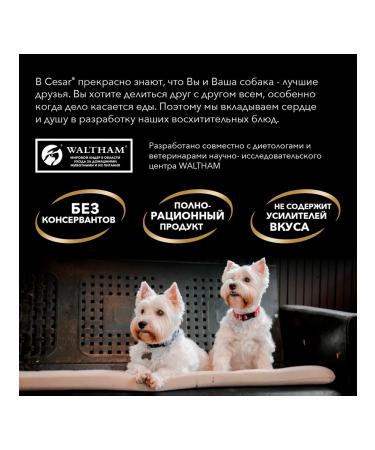 CESAR Dog food small moist beef paste 80 g 28 pcs - Buy Online on GoSupps.com