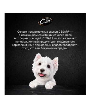 CESAR Dog food small moist lamb paste 80 g 28 pcs - Buy Online on GoSupps.com