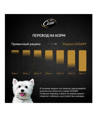 CESAR Dog food small moist lamb paste 80 g 28 pcs - Buy Online on GoSupps.com