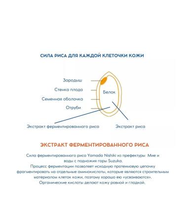 Meishoku Pilling gel with AHA and BHA+Lotion with rice extract - Buy Online on GoSupps.com