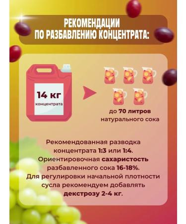 AZOV BREWERY Concentrated grape juice Chardonnay 14 kg - Buy Online on GoSupps.com