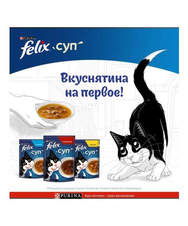 FELIX Feed moist soup for cats chicken sauce 48 g 8 pcs - Buy Online on GoSupps.com