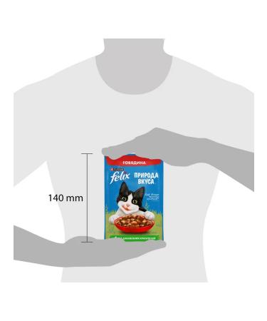 FELIX Feed is the humid nature of taste for cats beef 75 g 12 pcs - Buy Online on GoSupps.com