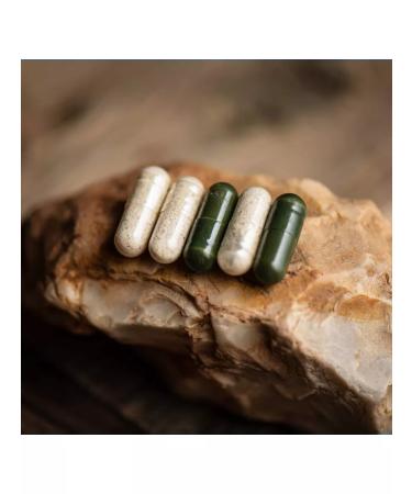 The power of Siberia is health Chronobiological protection of the liver - synchtal IV - Buy Online on GoSupps.com