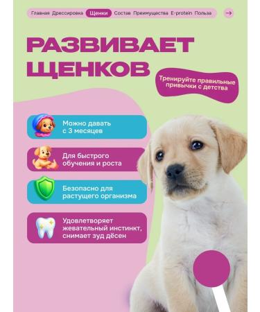 CosmoPet A treat for dogs Strips with salmon - Buy Online on GoSupps.com