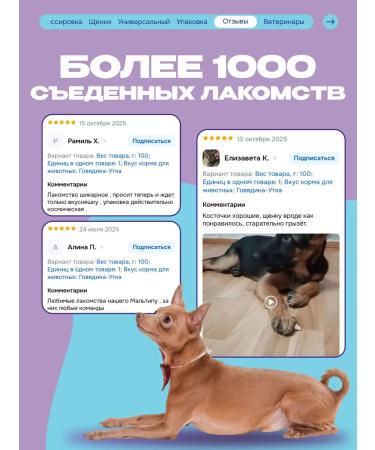 Cosmopet Dog treating with protein protein on a bone - Buy Online on GoSupps.com