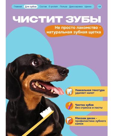 Cosmopet Dog treating with protein protein on a bone - Buy Online on GoSupps.com