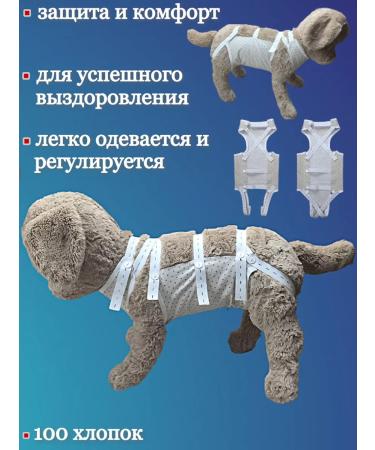 Dirgibor Popon postoperative for dogs of large breeds No. 6 - Buy Online on GoSupps.com