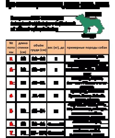 Dirgibor Popon postoperative for dogs of large breeds No. 6 - Buy Online on GoSupps.com