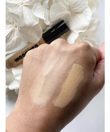 Wet n Wild Concole Incognito Concealer Medium Golden - Buy Online on GoSupps.com