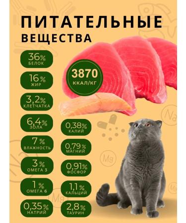 Acari Ciar Dry food for cats Fish with fish - Buy Online on GoSupps.com