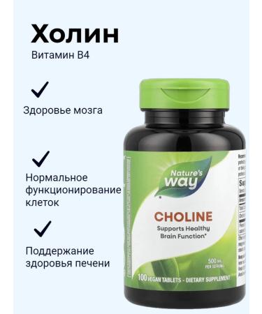 Nature's Way Choline choline 500 mg 100 tablets