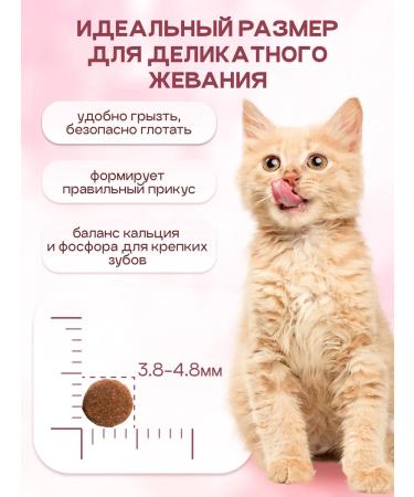 Cosmocat Kittens for kittens dry super premium with a turkey 0.8 kg - Buy Online on GoSupps.com