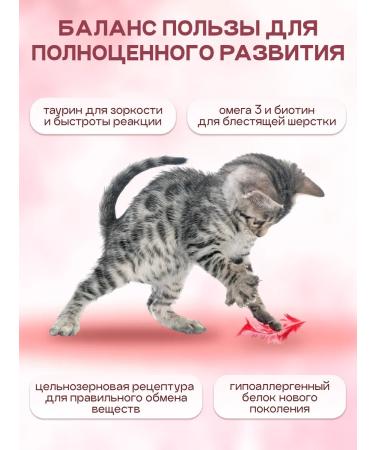 Cosmocat Kittens for kittens dry super premium with a turkey 1.8 kg - Buy Online on GoSupps.com