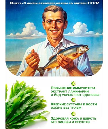 VAKA Fish oil for dogs and cats with kelp 2 units. 100 capsules - Buy Online on GoSupps.com