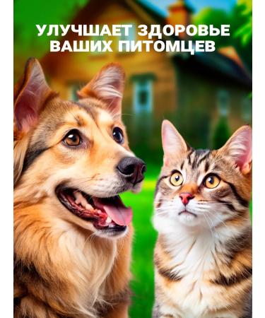 VAKA Fish oil for dogs and cats with kelp 2 units. 100 capsules - Buy Online on GoSupps.com