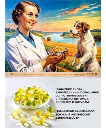 VAKA Fish oil for dogs and cats in capsules 3 c. 100 caps - Buy Online on GoSupps.com