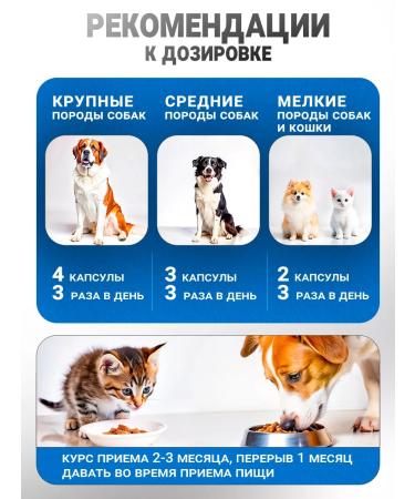 VAKA Fish oil for dogs and cats in capsules 3 c. 100 caps - Buy Online on GoSupps.com