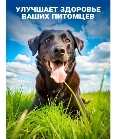 VAKA Fish oil for dogs and cats in capsules 3 c. 100 caps - Buy Online on GoSupps.com