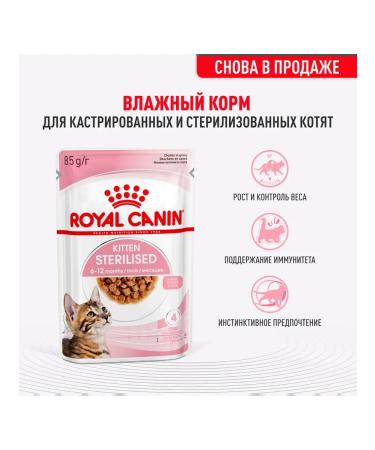 ROYAL CANIN Feed for kittens wet for sterilized sauce 85 g 28 pcs - Buy Online on GoSupps.com