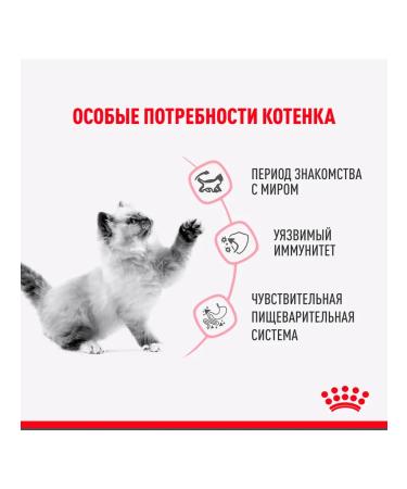 ROYAL CANIN Feed for kittens wet for sterilized sauce 85 g 28 pcs - Buy Online on GoSupps.com