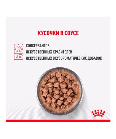 ROYAL CANIN Feed for kittens wet for sterilized sauce 85 g 28 pcs - Buy Online on GoSupps.com
