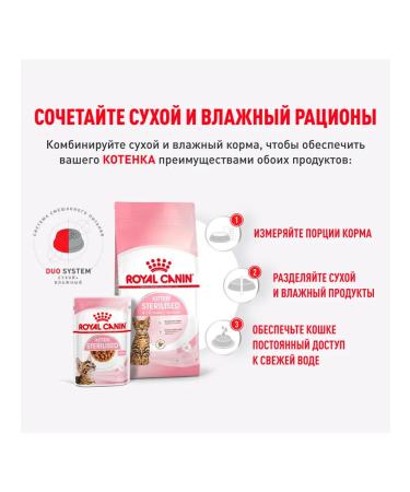 ROYAL CANIN Feed for kittens wet for sterilized sauce 85 g 28 pcs - Buy Online on GoSupps.com