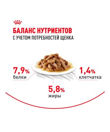 ROYAL CANIN Wet feed mini puppy for small puppies sauce 85 g 10 pcs - Buy Online on GoSupps.com