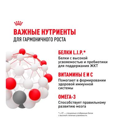 ROYAL CANIN Wet feed mini puppy for small puppies sauce 85 g 10 pcs - Buy Online on GoSupps.com