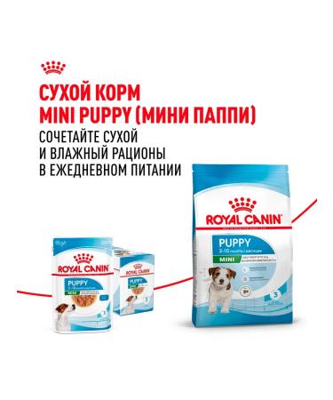 ROYAL CANIN Wet feed mini puppy for small puppies sauce 85 g 10 pcs - Buy Online on GoSupps.com