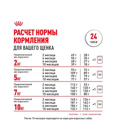 ROYAL CANIN Wet feed mini puppy for small puppies sauce 85 g 10 pcs - Buy Online on GoSupps.com