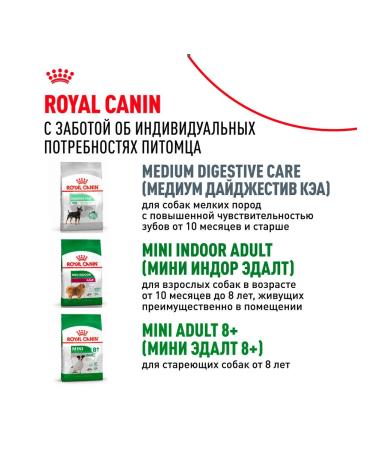 ROYAL CANIN Dog food is wet for small rocks sauce 85 g 28 pcs - Buy Online on GoSupps.com