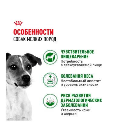 ROYAL CANIN Dog food is wet for small rocks sauce 85 g 28 pcs - Buy Online on GoSupps.com