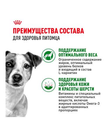 ROYAL CANIN Dog food is wet for small rocks sauce 85 g 28 pcs - Buy Online on GoSupps.com