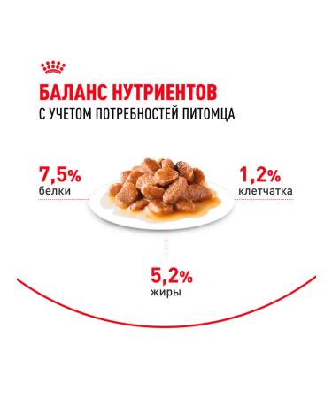 ROYAL CANIN Dog food is wet for small rocks sauce 85 g 28 pcs - Buy Online on GoSupps.com