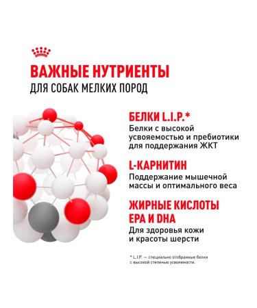 ROYAL CANIN Dog food is wet for small rocks sauce 85 g 28 pcs - Buy Online on GoSupps.com