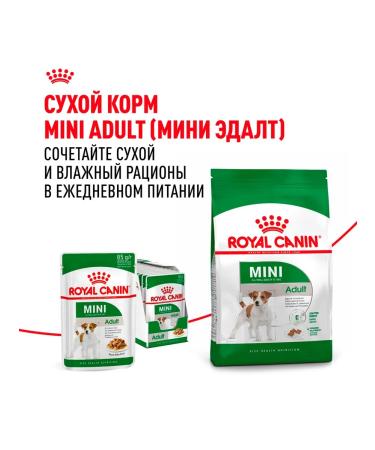 ROYAL CANIN Dog food is wet for small rocks sauce 85 g 28 pcs - Buy Online on GoSupps.com