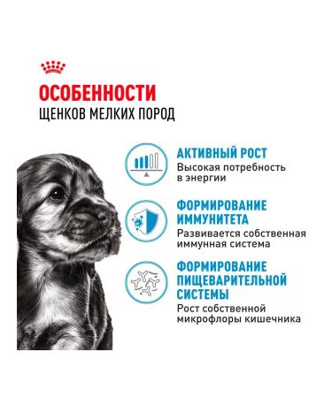 ROYAL CANIN Wet feed mini puppy for small puppies sauce 85 g 5 pcs - Buy Online on GoSupps.com