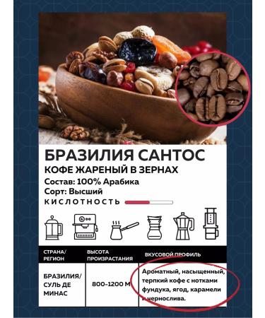 Saint Drogo Set "Board Morning" - Buy Online on GoSupps.com