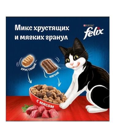 FELIX Dry dual delicious food for cats meat 3 kg 2 pcs - Buy Online on GoSupps.com