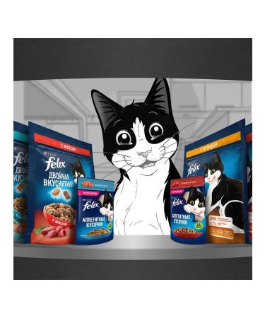 FELIX Dry dual delicious food for cats meat 3 kg 2 pcs - Buy Online on GoSupps.com