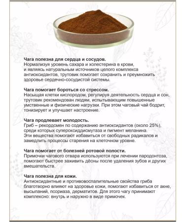 Otvarchik pei Chaga is birch natural - Buy Online on GoSupps.com