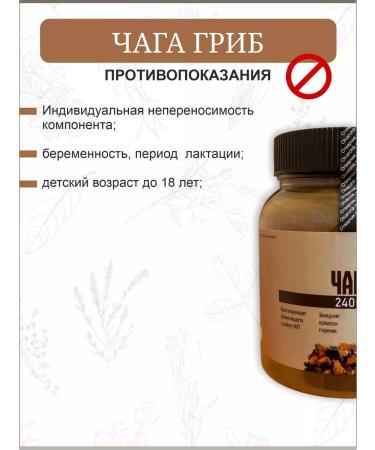 Otvarchik pei Chaga is birch natural - Buy Online on GoSupps.com