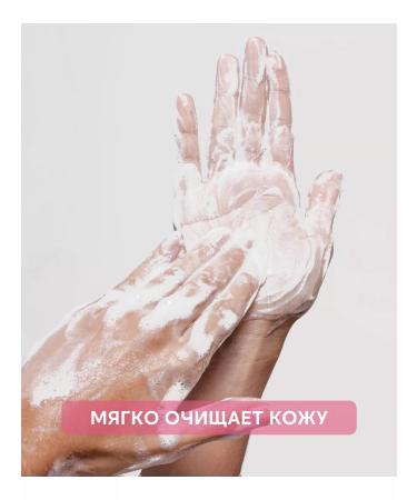 BRIARHOME Hand liquid soap perfumed moisturizer - Buy Online on GoSupps.com