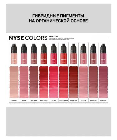 AP GROUP Hybrid pigment NYSE No. 4 grease Alena Pestova - Buy Online on GoSupps.com