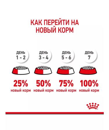 ROYAL CANIN Dry food for mini puppy 2 kg puppies - Buy Online on GoSupps.com