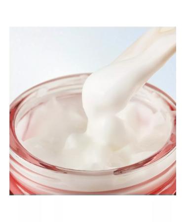 La miso Ampulus face cream with coenzym Q10 50 g - Buy Online on GoSupps.com