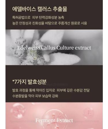 MEDIPEEL Peptide-tox Bor-Cream Peptide-Tox Peptides - Buy Online on GoSupps.com