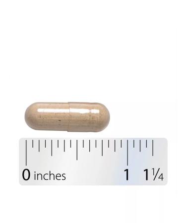 Nature's Way Wild yam wild yams dietary - Buy Online on GoSupps.com