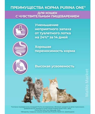 PURINA ONE Feed for cats 0.75 kg for digestion with turkey - Buy Online on GoSupps.com